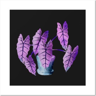 Purple Alocasia Pot Posters and Art